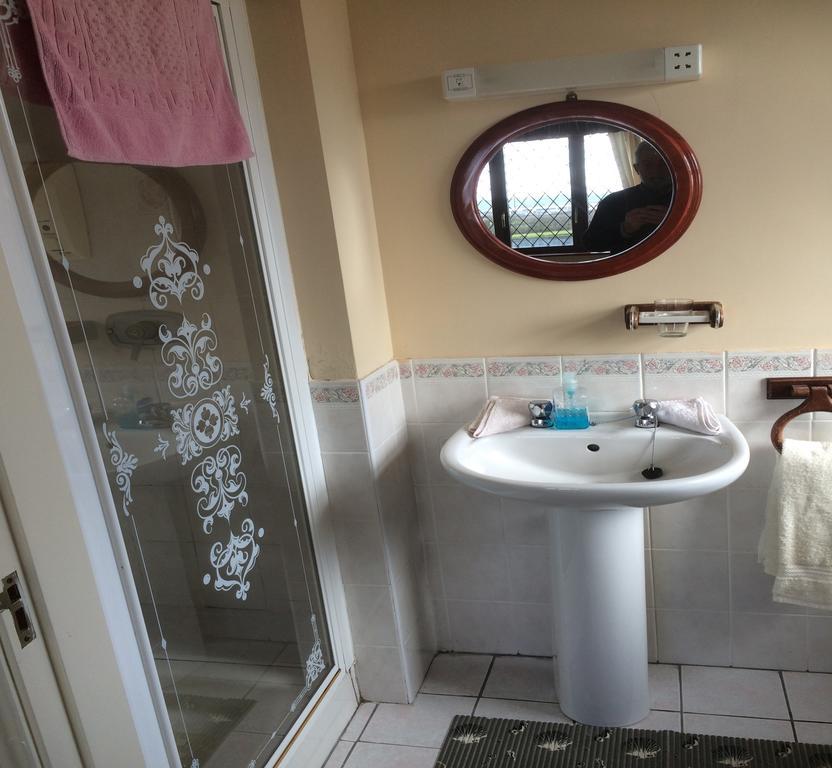 Seanor House Bed & Breakfast バリーバニオン エクステリア 写真