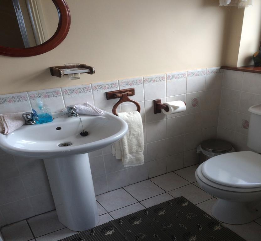 Seanor House Bed & Breakfast バリーバニオン エクステリア 写真